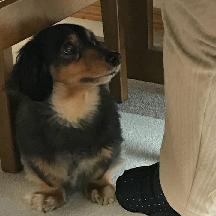 Ed948ec3 09e1 4249 b38c df74e076a720 1522794180127