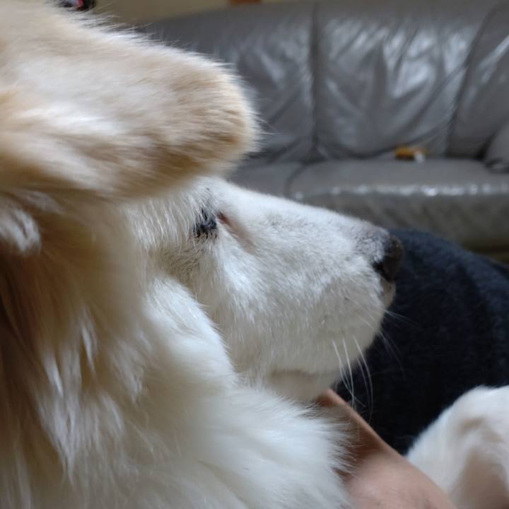 Ed9494be 1c9a 4654 9896 9bfc287eb6b1 1642735656088