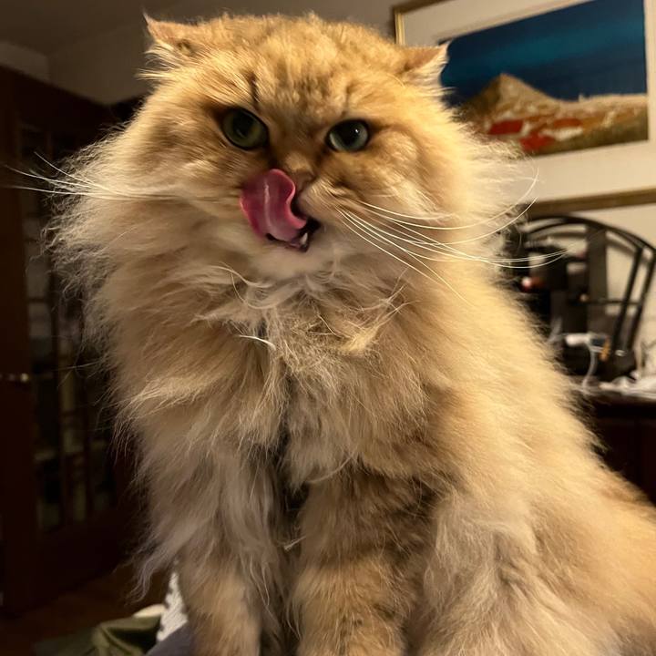 Ed949993 0244 434d 9359 ea9a5e7f6627 1655635431670