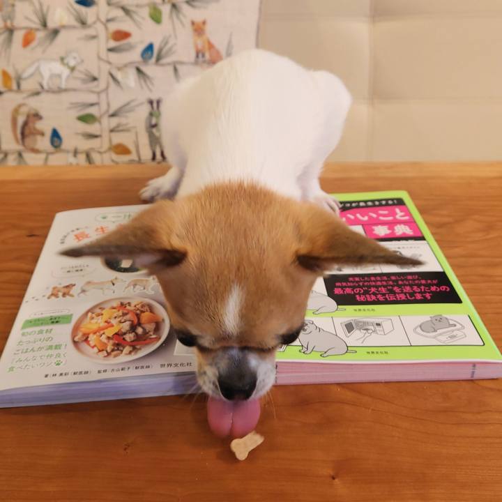 Ed94de86 2012 4154 ae5e 0dc090fe9139 1671014351814