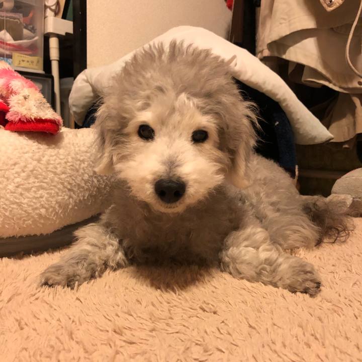 Ed950a25 f76d 4b54 91c8 025b14c3daa0 1586397970273