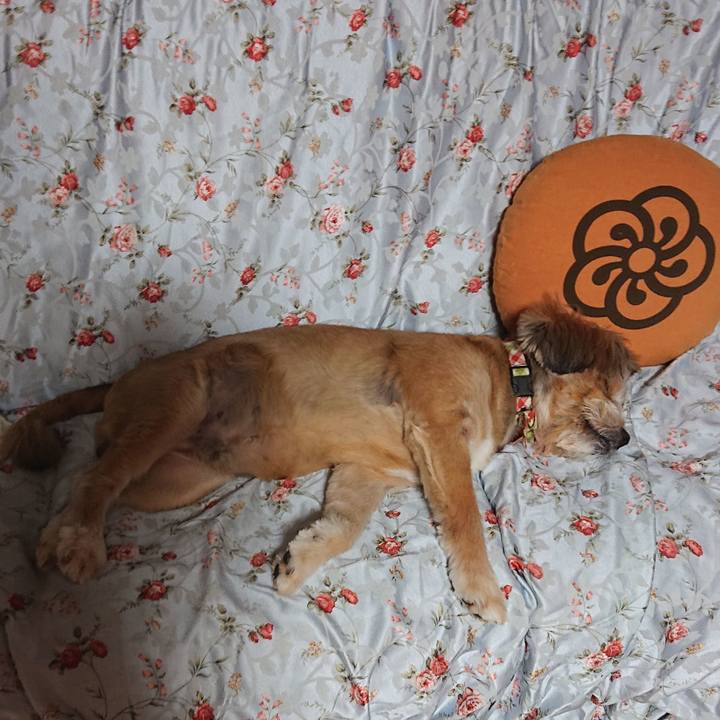 Ed952a6c 0331 44a3 a998 2ac51f87e350 1599490196675