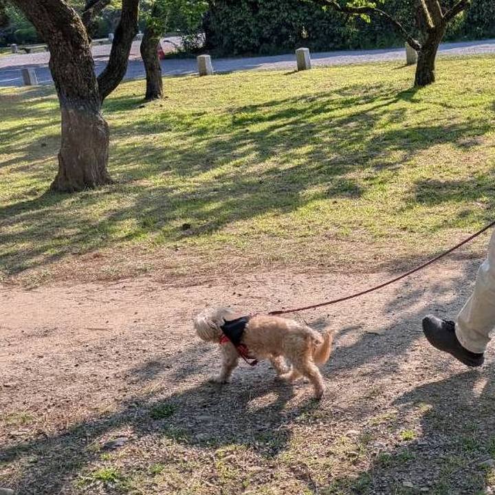 Ed9574e3 21ee 40fd 9f59 ca87036a21ee 1745656506616