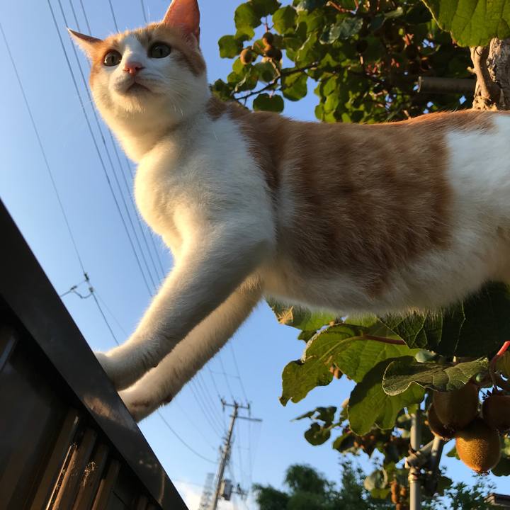 Ed95e1e1 17eb 47ed b643 7a671e21e21c 1532615789170