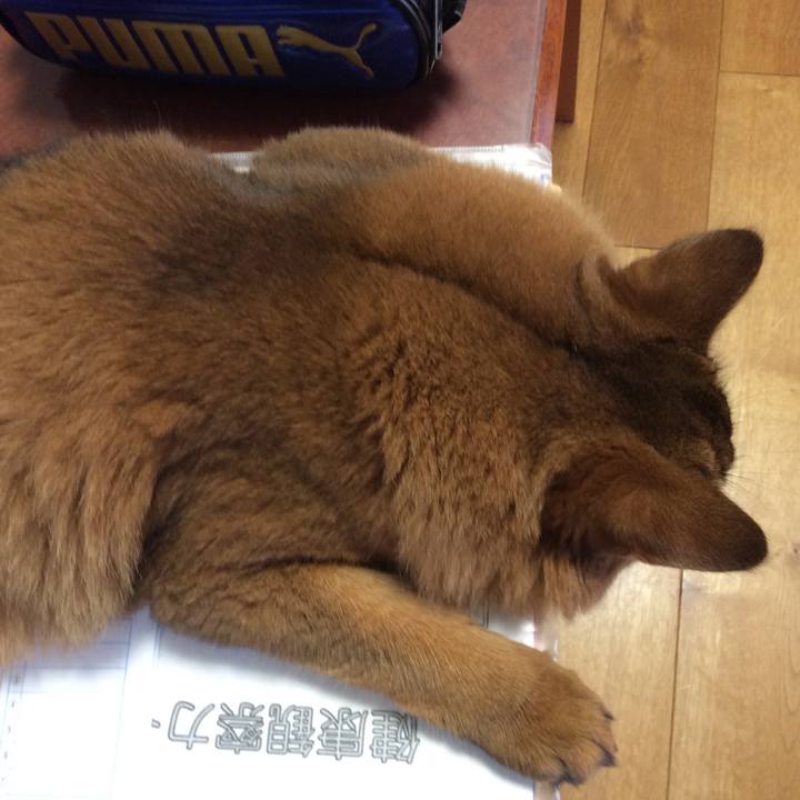 Ed95f024 11e6 4127 95ef 09cb085fd92f 1595982458843