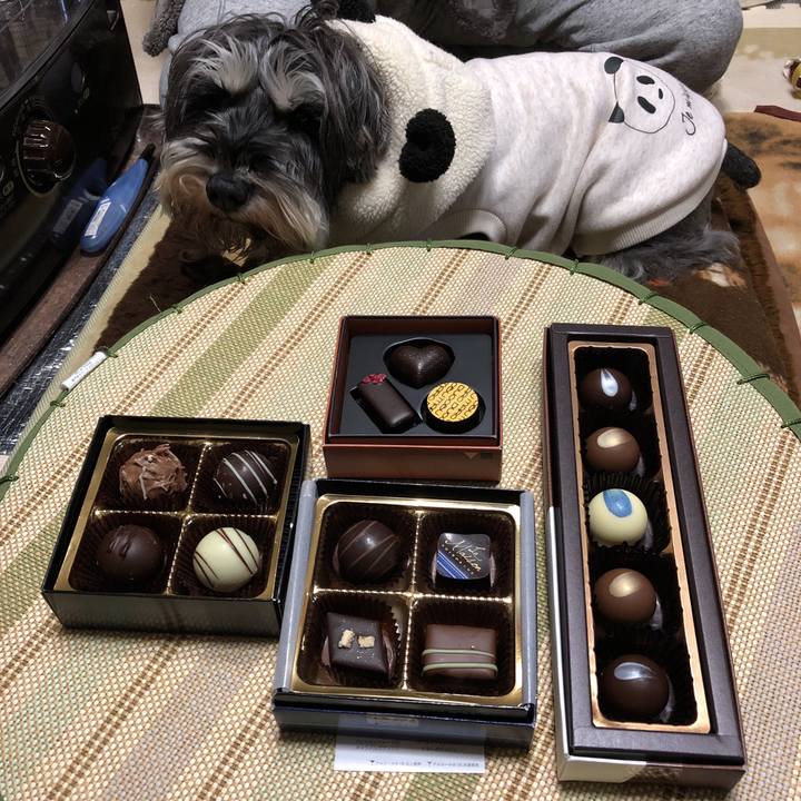 Ed964963 5034 47d1 872b 56f051b04140 1550146600186