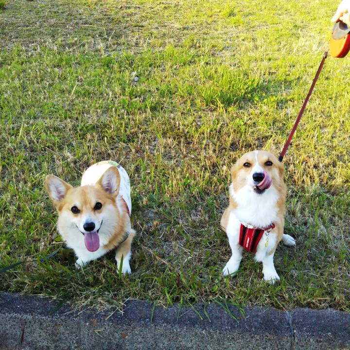 Ed964ef4 7383 47b5 9dbd eb33535311ed 1572689430801