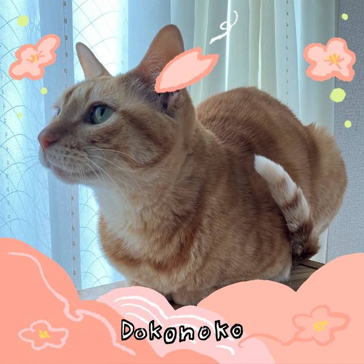 Ed9651c8 35c1 45b3 892d e32a280070be 1775210190785