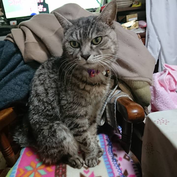 Ed965d5f f00d 41bc a4b6 7e448545e670 1578520350034