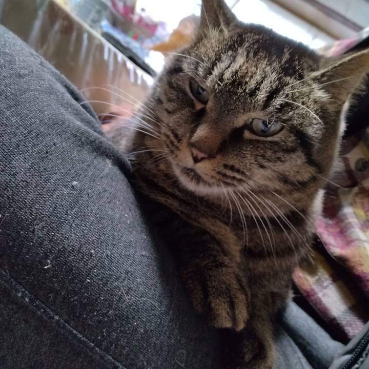 Ed9671f8 c2fd 47d9 8efe f9b8bcc5d5ef 1702635418670