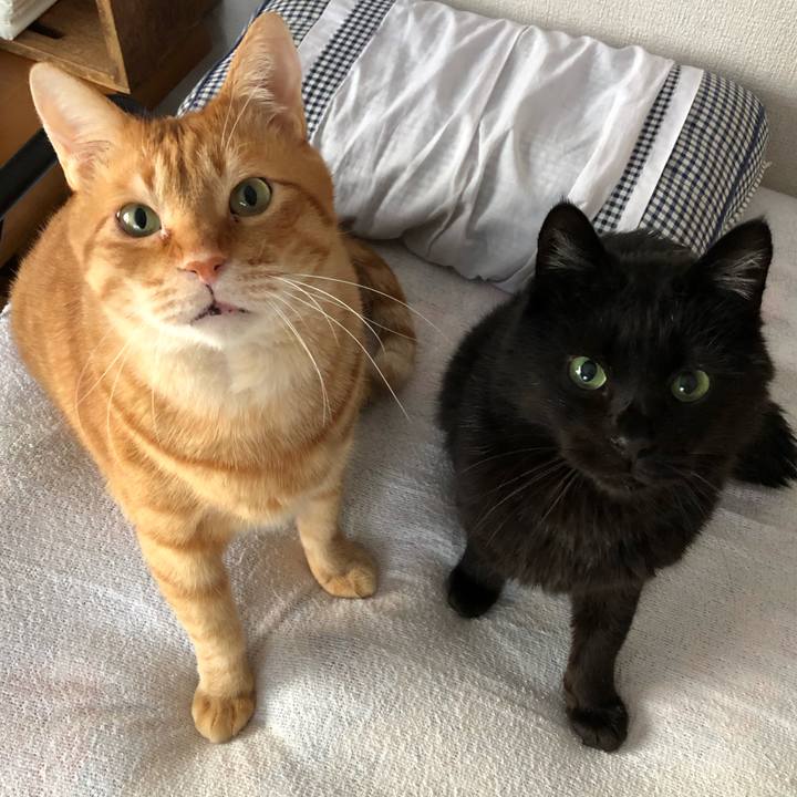 Ed9674b9 2cfc 4dc5 9772 7fbd53796358 1613254539024