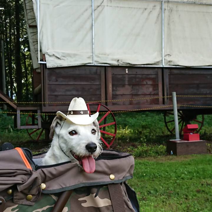 Ed9693da de99 46f7 9151 f831e4b9cb54 1564241016394