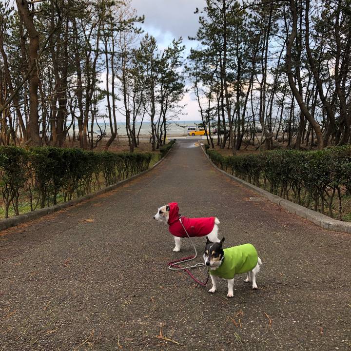 Ed96e58b df5a 4120 8fcd af69abba8ad1 1579564263478