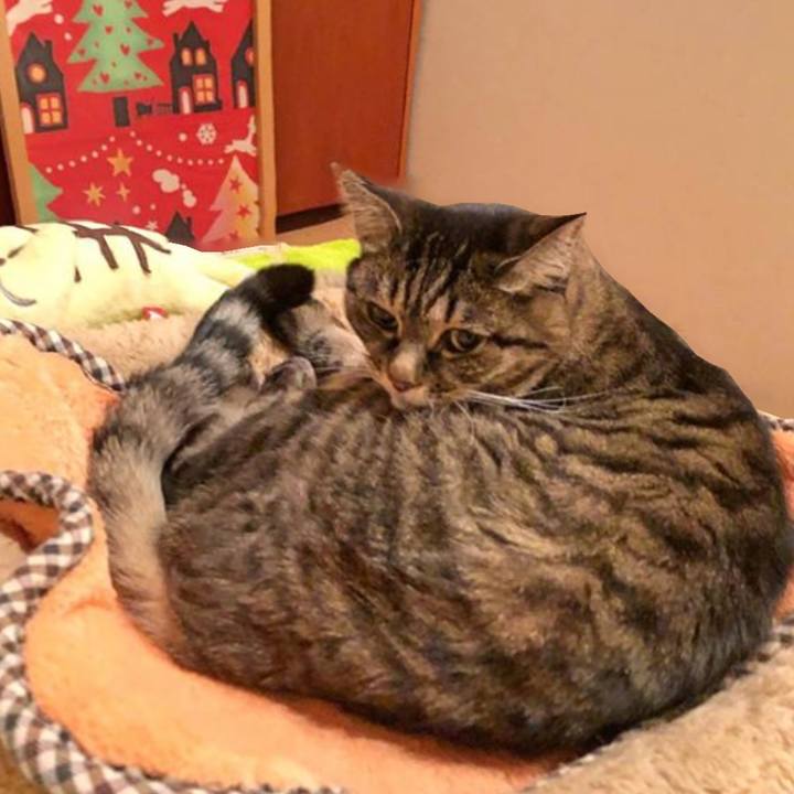 Ed970870 ecf4 4216 b459 88562b6af3ea 1765594436206