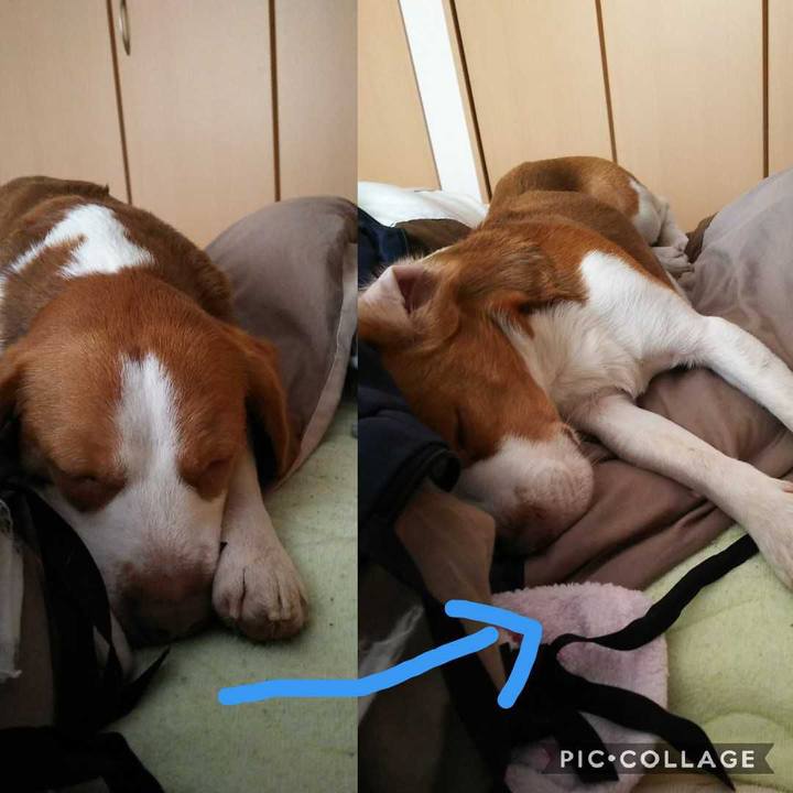 Ed97390e 729e 45e6 90e4 41d3b121c85b 1555508141759