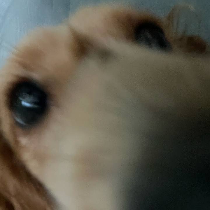 Ed9767c0 7285 4988 a45a 66f3c72a9f21 1687226104665