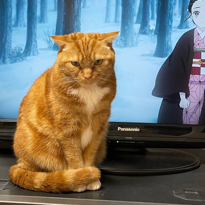 Ed978288 ea9d 4af2 97a0 c8ccabdde42f 1644321764805