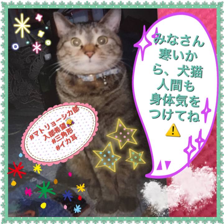 Ed97aa4e 879b 4fab bec3 8a3e85f1129a 1512790231365