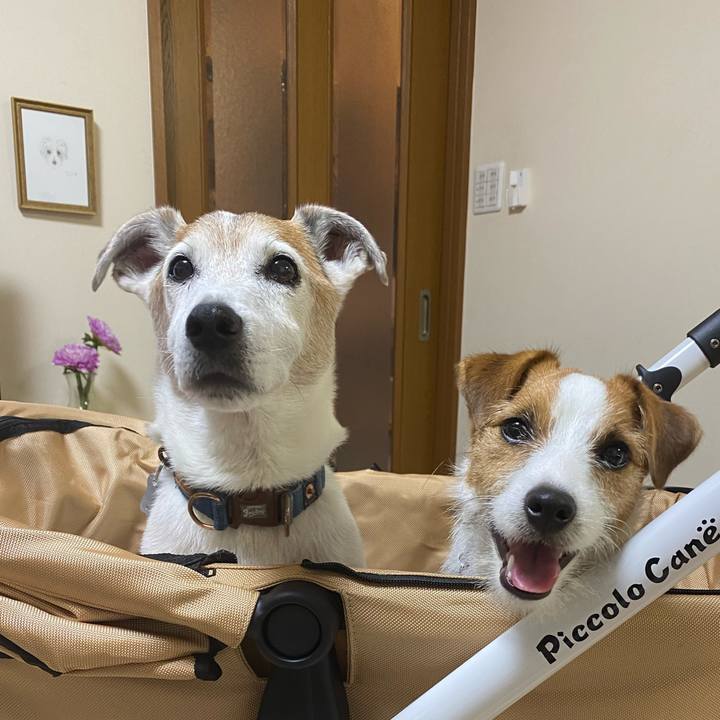 Ed97d24a b254 4c4f 8c22 c8a32c955841 1625579158741