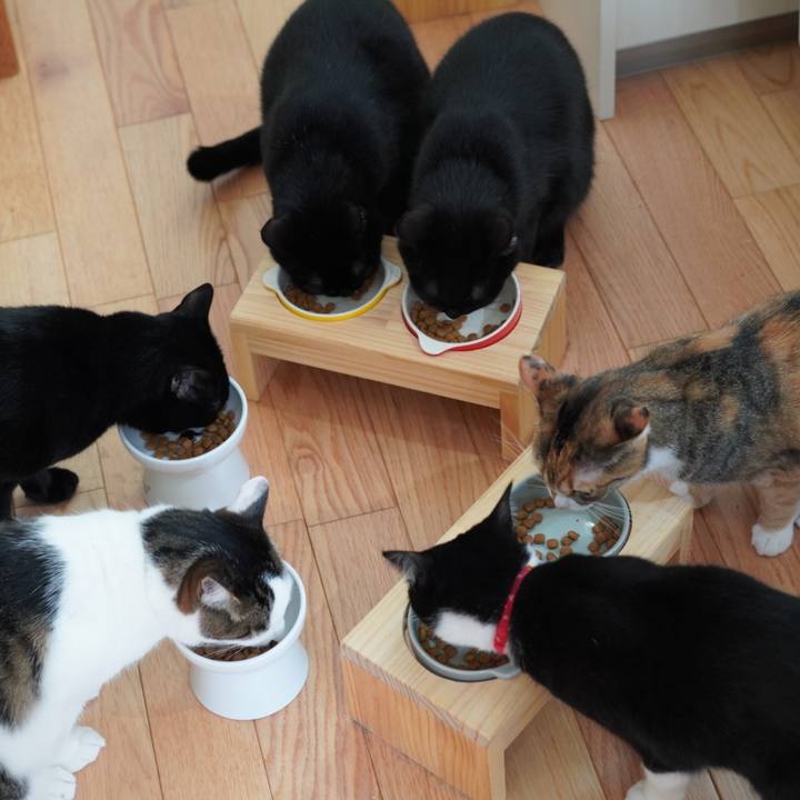 Ed97f89f c36d 4e93 ba3c 7f54d73a6723 1618231249773