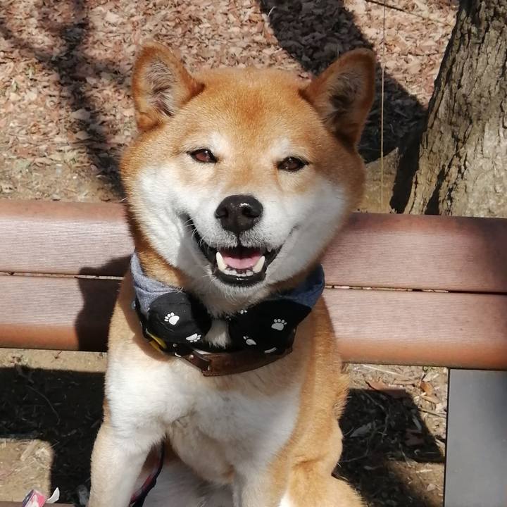 Ed98053b 929c 44ab ad3e c714b3812372 1615357295505