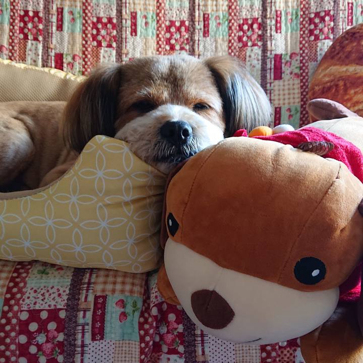 Ed980a43 11a3 4573 a588 4d4564f294d2 1557818428410