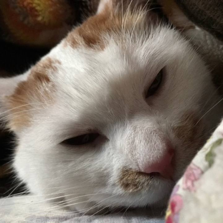 Ed9831f9 6288 4a07 a653 6fb9d929f4b7 1678023318346