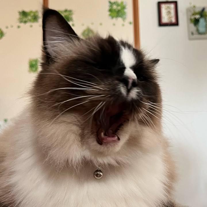 Ed984926 e43e 4c9c 92c0 ea14e51bfdbc 1675469084292