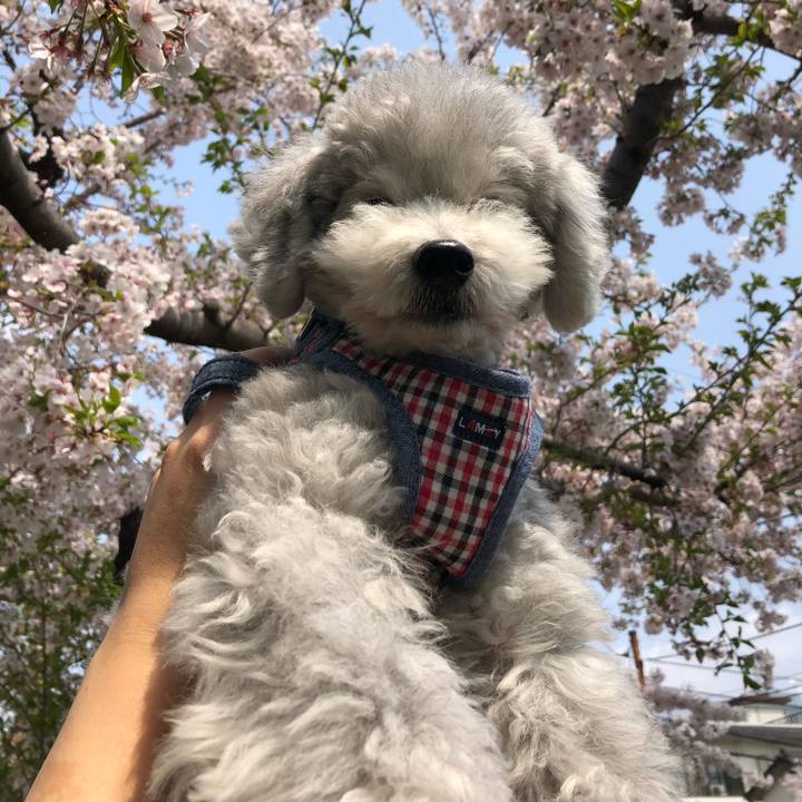 Ed984a60 a797 45f9 8fe4 66e53b8999ff 1712881362805