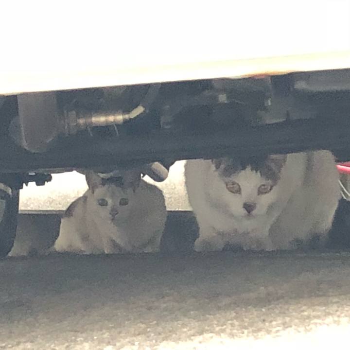 Ed986589 b7dd 4705 b338 a6c3c1f0eba4 1528383920914