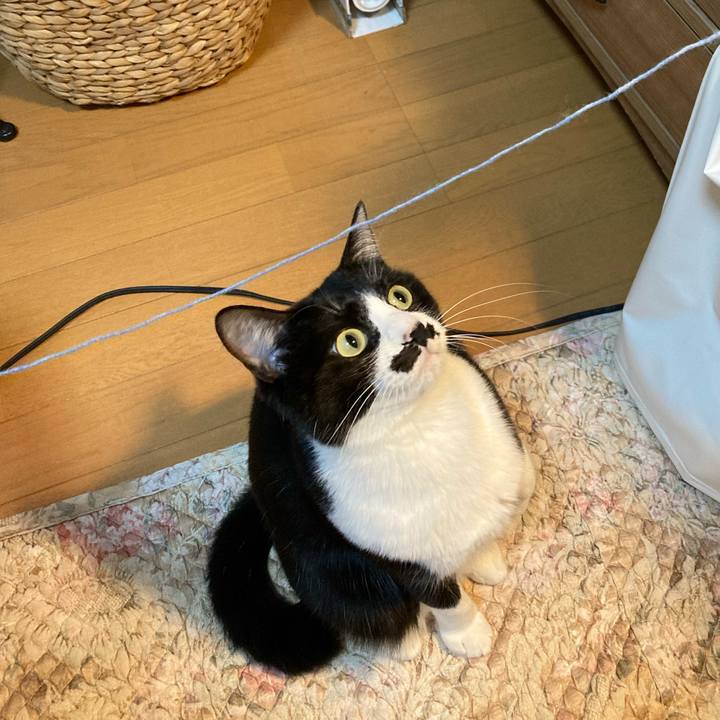 Ed986c03 a875 4969 812b c9f6c5bb4f7b 1708076663529