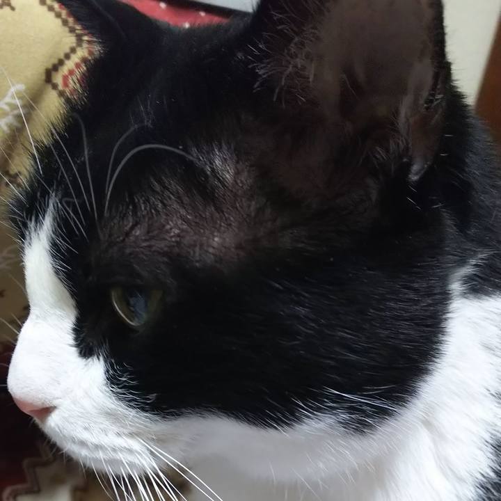 Ed986eb1 38b4 4a34 95b0 4cb56aa95a70 1581457904314