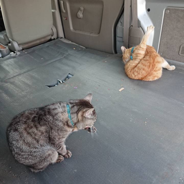 Ed98c6cc ab70 4c03 a4a9 ccda50668b93 1557307515860