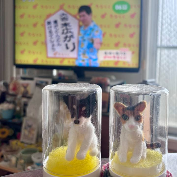 Ed990e68 da0a 4731 adf7 3413e8df4825 1754258579660