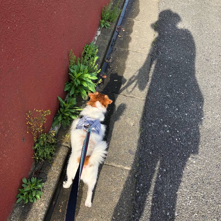 Ed992b79 f758 41a0 ad66 787b973850ad 1556837839164