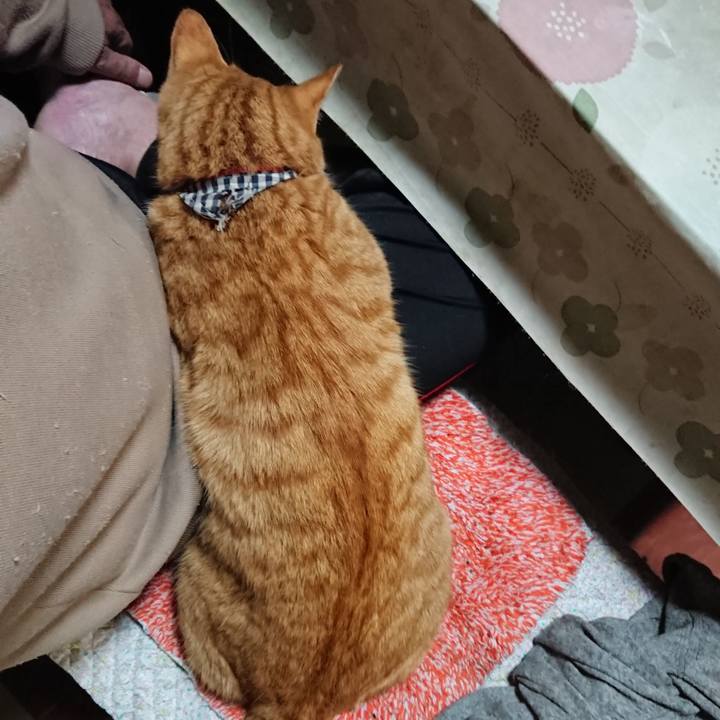 Ed992ce7 77de 4b1c 9cc0 ff6b7919ee7d 1573902865456