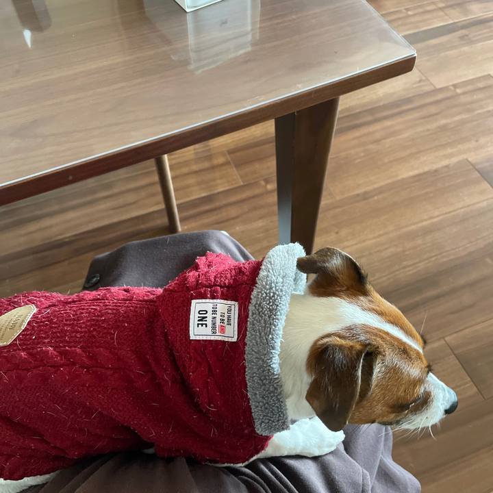 Ed993617 bb77 4a8d 9f3a a7748364c5a2 1648863419003