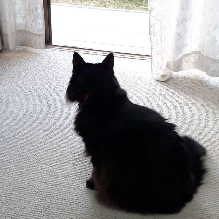 Ed994eec 5031 46d4 9586 f28c31980cac 1518735170920