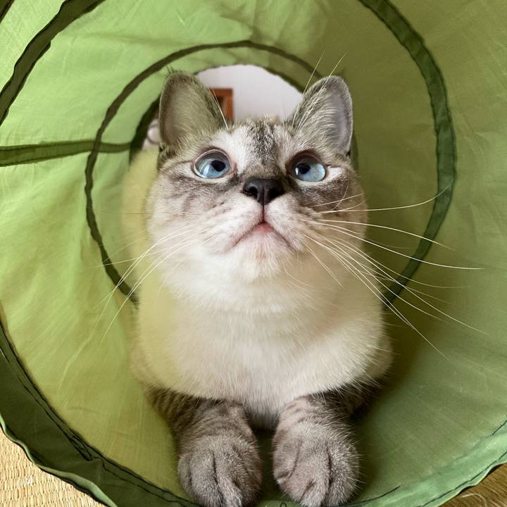 Ed996484 16d4 4672 b47c 3b5b947018ff 1599868320092