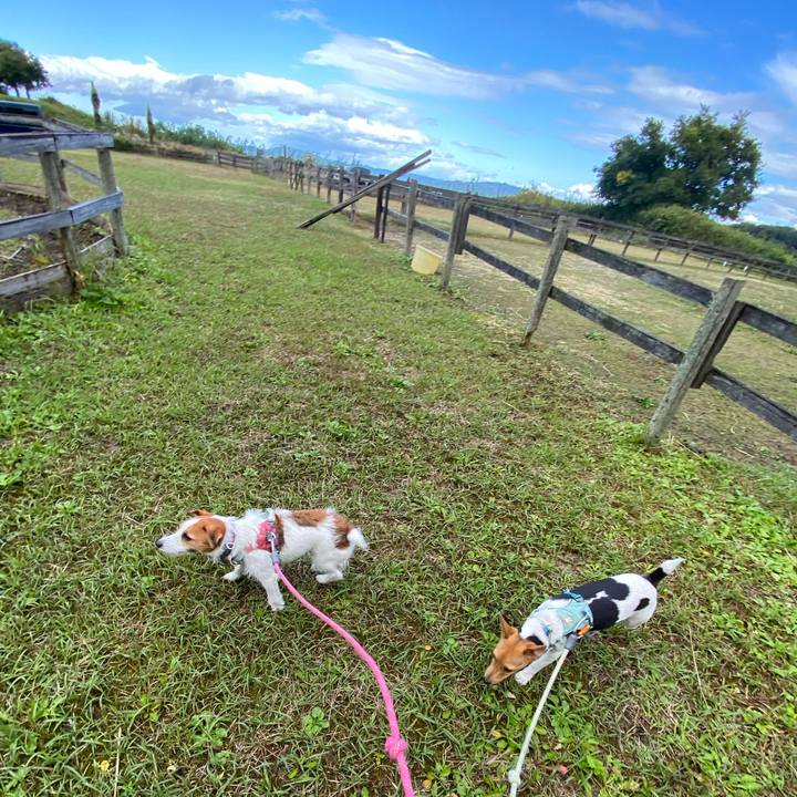 Ed996c76 04b6 4a2b ba78 cb1f62cd70bf 1762160957645