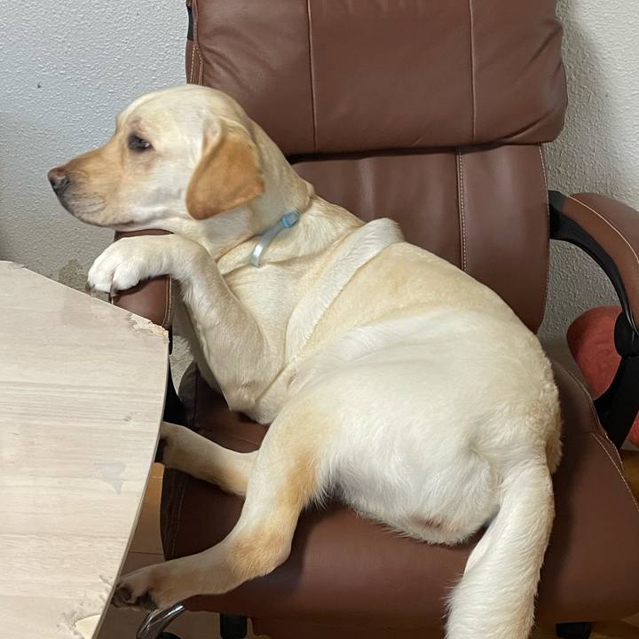 Ed99954d b3e2 49a3 915e 4815dc269ba4 1683213399060