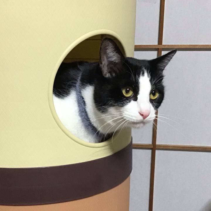 Ed99de2f b036 409d bd78 0557c23c44b1 1670935923682