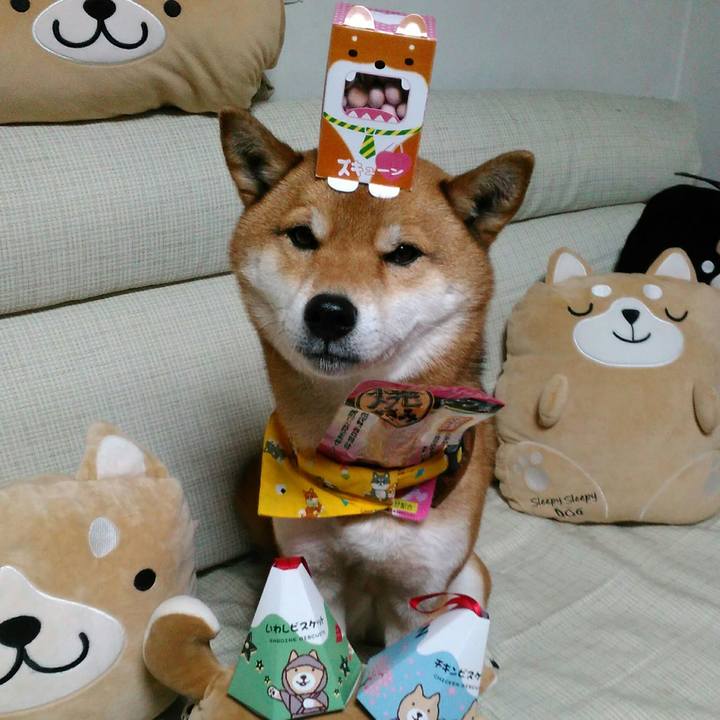 Ed99e269 c483 4cd2 8517 1edbf8c66917 1518600073819