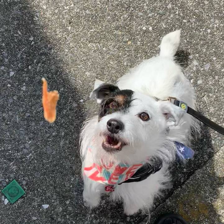 Ed99f873 5e81 4a1d a9c5 92cb75b84542 1688860952294