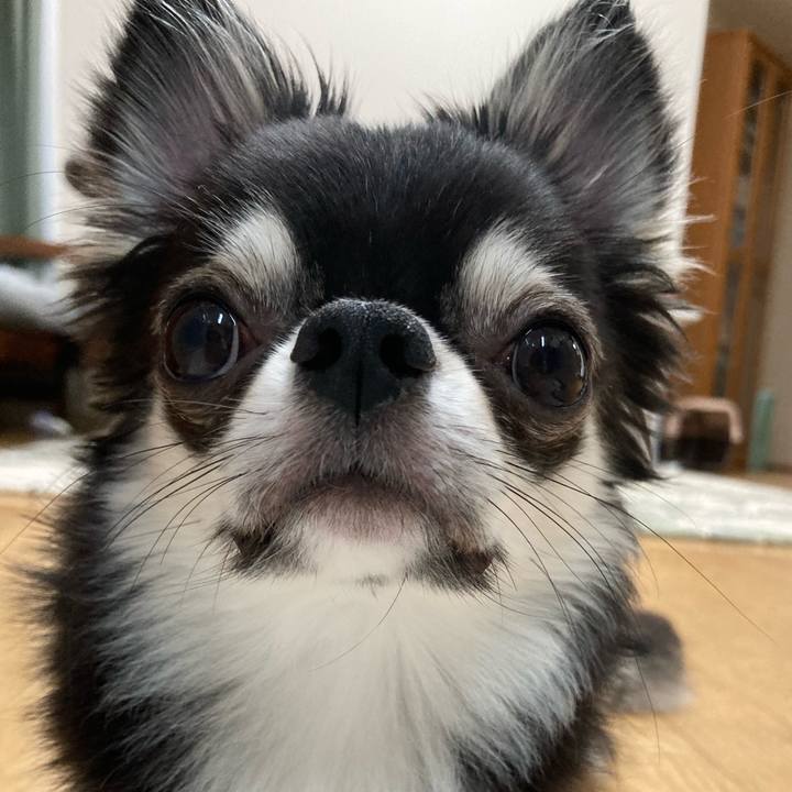 Ed9a0b39 4dd2 43a8 94ef 35fd1c060f03 1628431332199