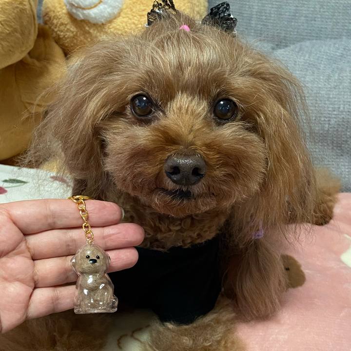 Ed9a28c3 5cbc 4230 9d29 58bc490cf054 1762297287585