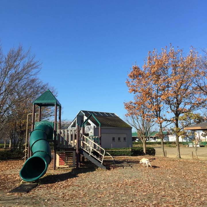 Ed9a4cba 08d3 4dd3 ab5d 8ffa7233f08a 1511839446933