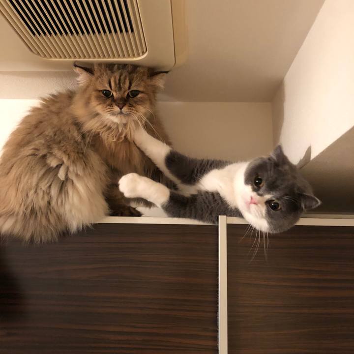 Ed9a91dd e229 46a5 b282 bf4de530f152 1540386434538