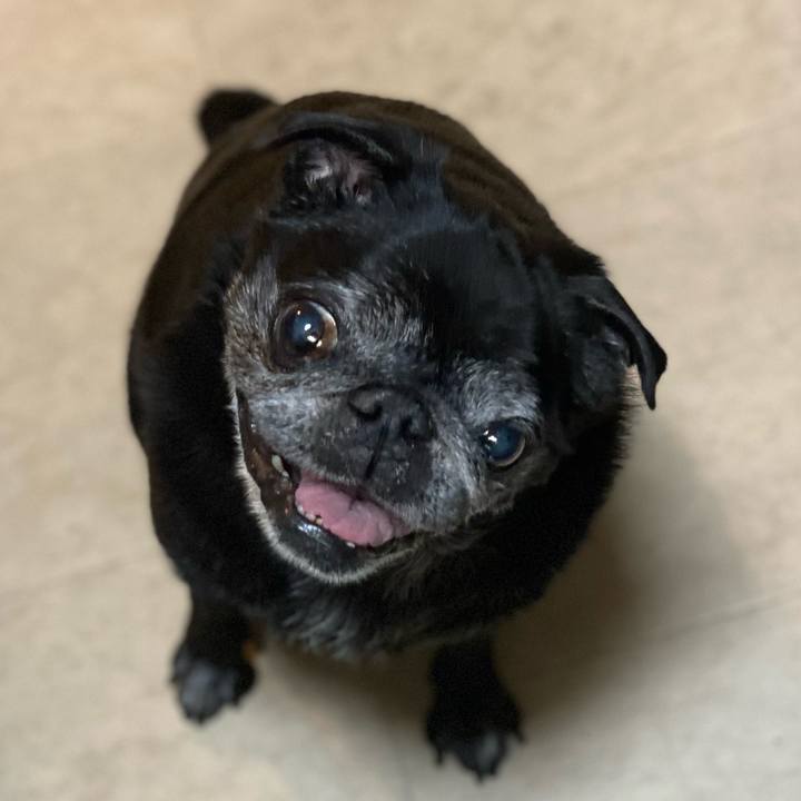 Ed9adefb c84e 4787 8881 e7eec8e2ff4f 1625621797943