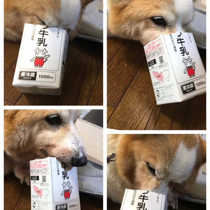 Ed9aef4c 399e 4d91 92dc e4182ea95cce 1564622806995